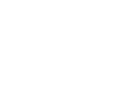 Buro Driehuis